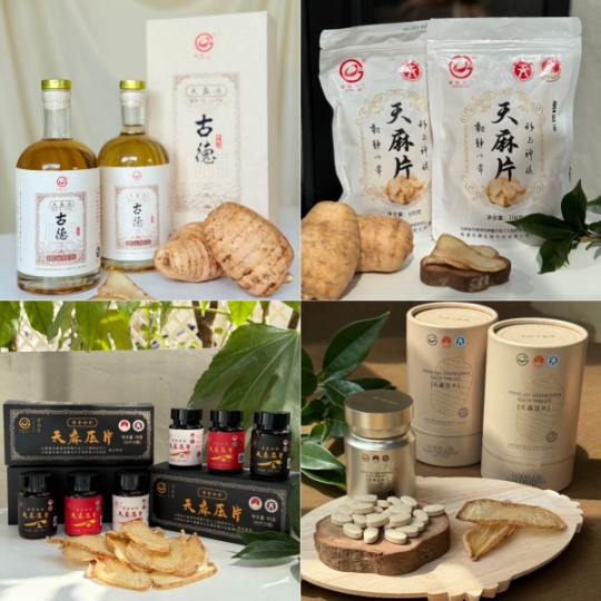 昭通小草坝天麻治疗眩晕:古德生物以道地药材守护头部健康防线