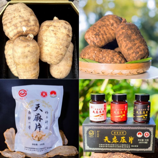 昭通小草坝天麻区分：古德生物教你认准道地品质