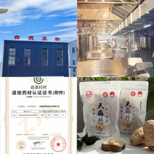 昭通小草坝天麻能调理哪些健康问题？古德生物以科学赋能食药价值