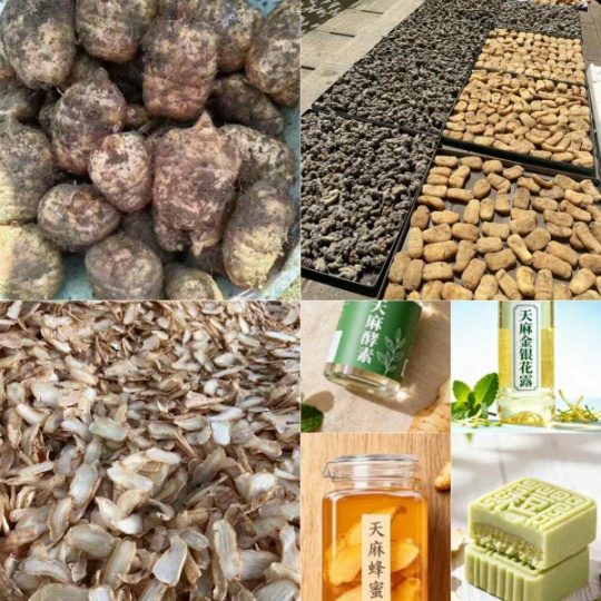 昭通小草坝天麻对女人：古德生物的内调外养解决方案