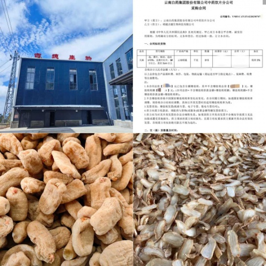 昭通小草坝天麻产地：天然禀赋与古德生物的品质共生