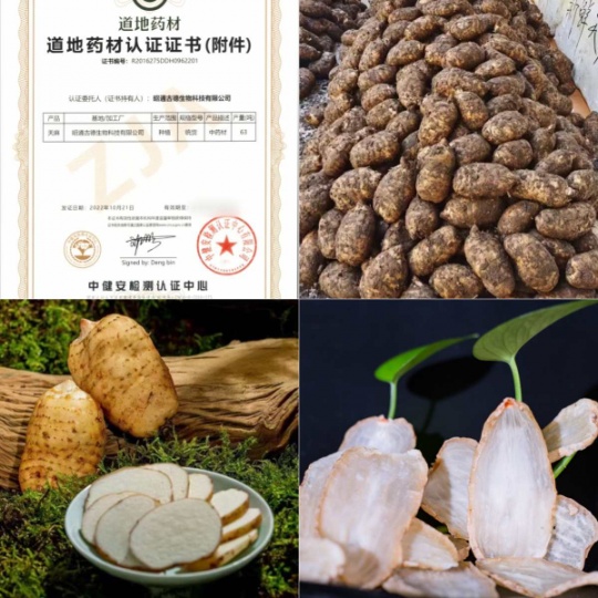 昭通鲜天麻坐月子可以吃吗？古德生物带你解锁产后科学滋补