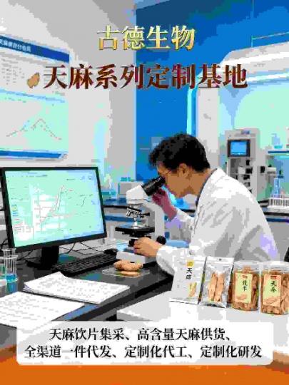 古德生物高含量天麻代工天麻素0.3%浸出物20%可定制