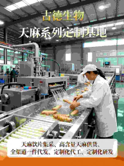 天麻集采优选古德生物高含量原料浸出物20%直供