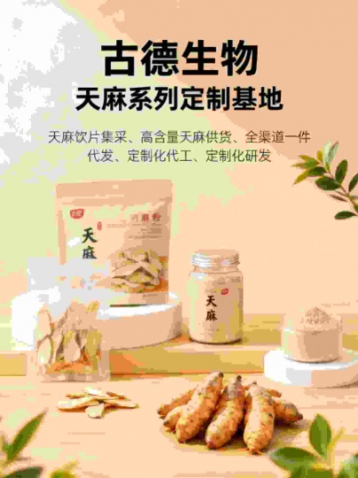 高含量天麻定制研发古德生物天麻素0.3%浸出物20%保障