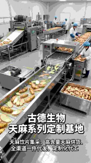 古德生物高含量天麻浸出物30%天麻素0.5%保健品高活性配方