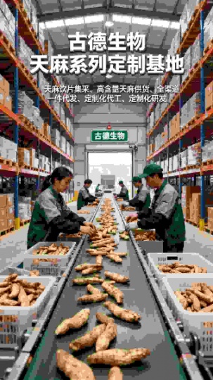 高含量天麻研发古德生物专业团队浸出物20%