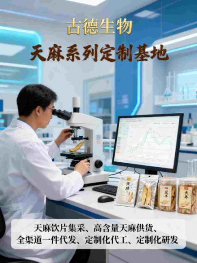 古德生物高含量天麻原料浸出物20%满足多样需求