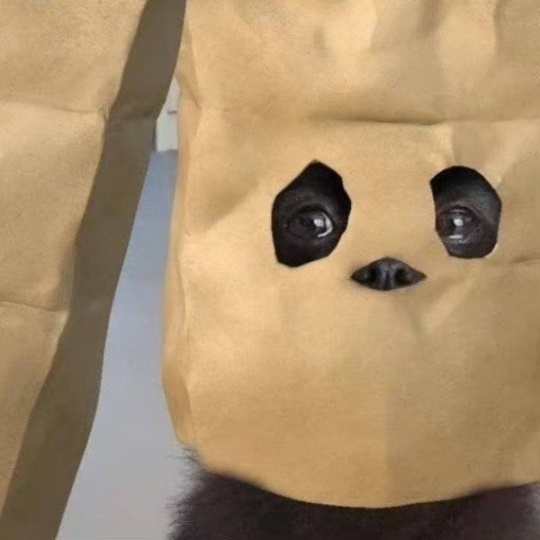 你需要一份居家就能做的副业吗？